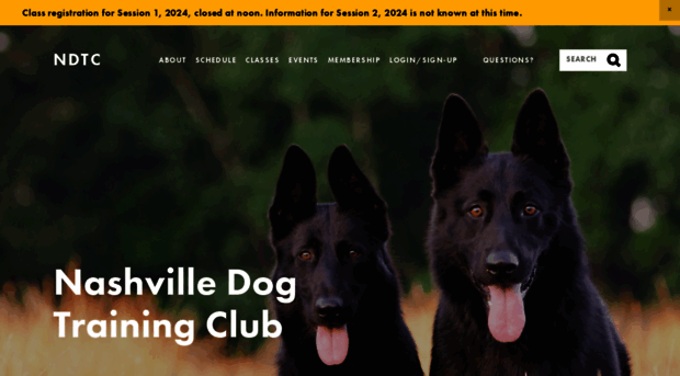 nashvilledog.org