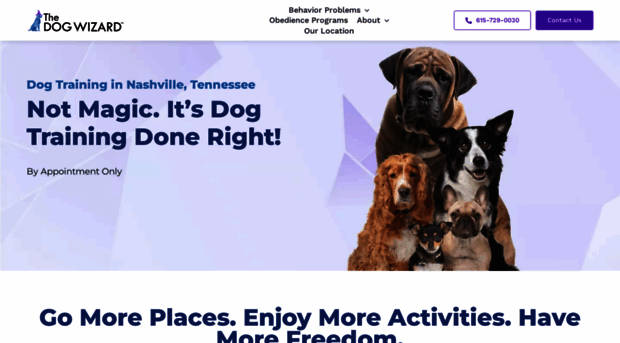 nashvilledogwizard.com