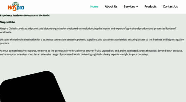 nasproglobal.com