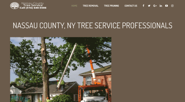 nassaucountytreeservices.com