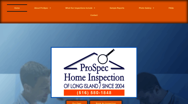 nassauprofessionalhomeinspector.com