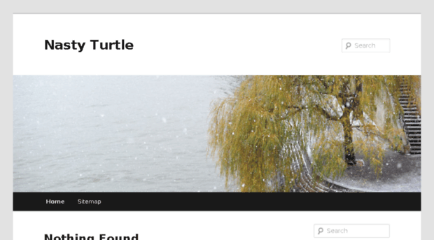 nastyturtle.com