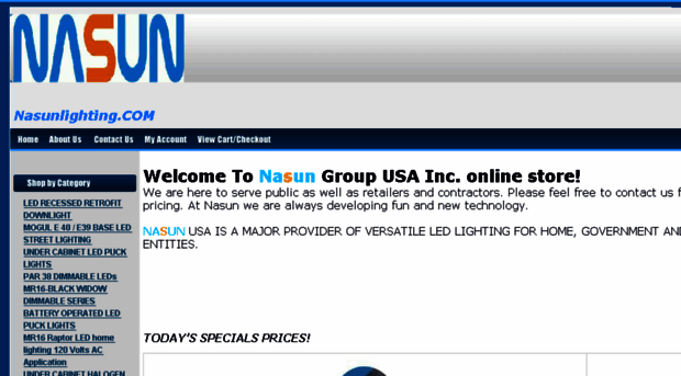 nasunlighting.com