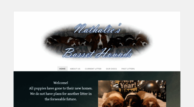 nathaliesbassethounds.weebly.com