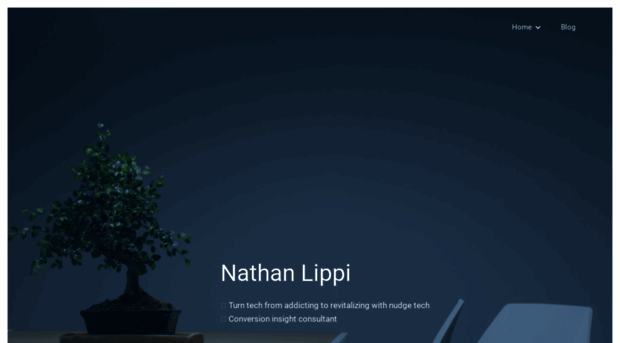 nathanlippi.com