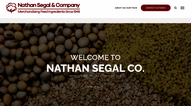 nathansegal.com