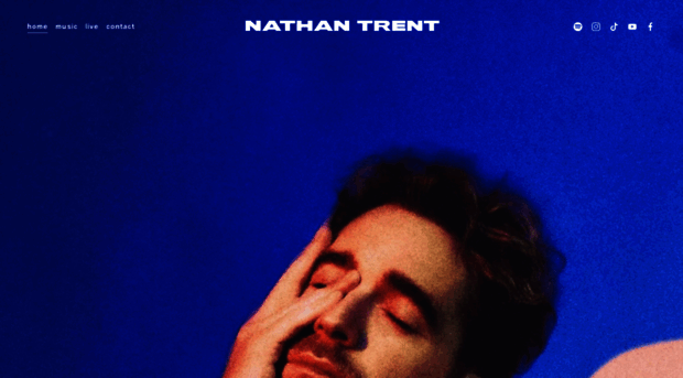 nathantrent.com
