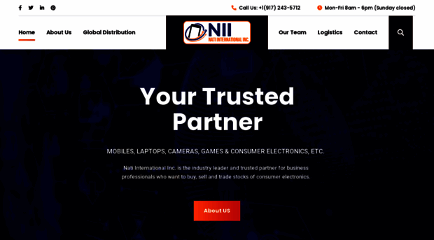 nati-inc.com