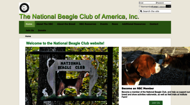 nationalbeagleclub.org