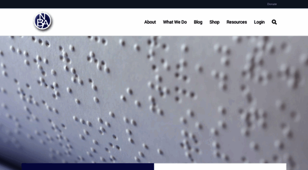 nationalbraille.org