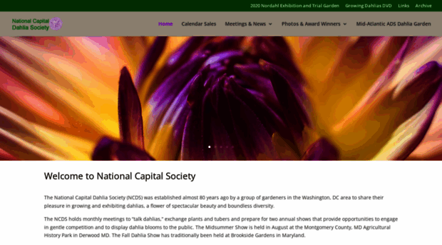 nationalcapitaldahlia.org