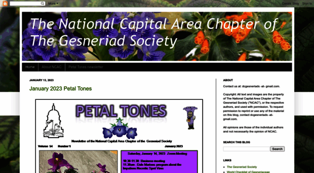 nationalcapitalgesneriads.org