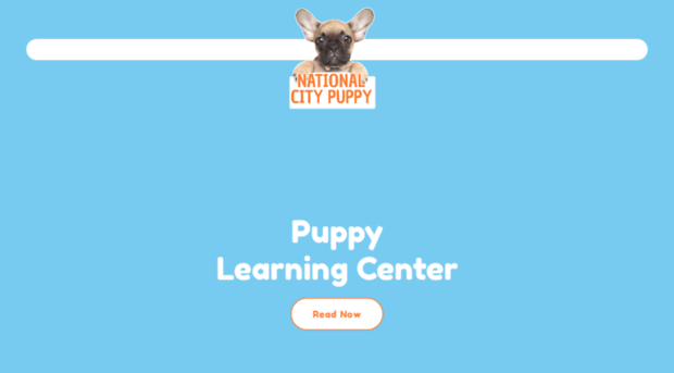 nationalcitypuppy.com