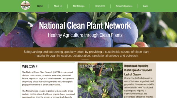 nationalcleanplantnetwork.org