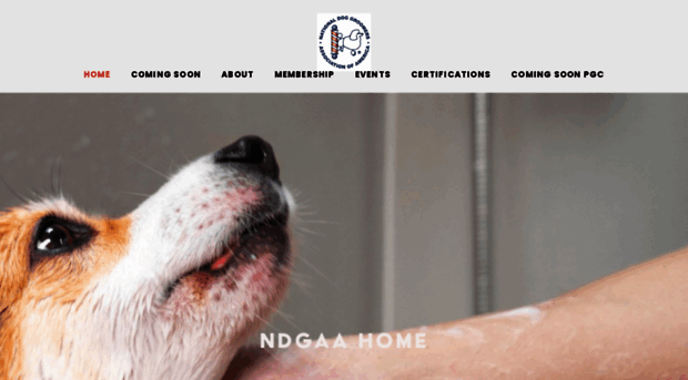 nationaldoggroomers.com