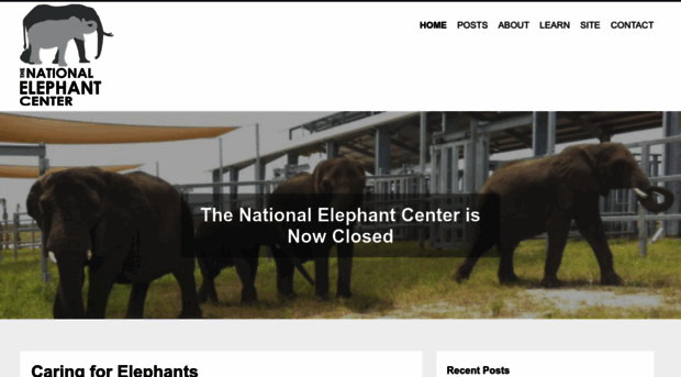 nationalelephantcenter.org