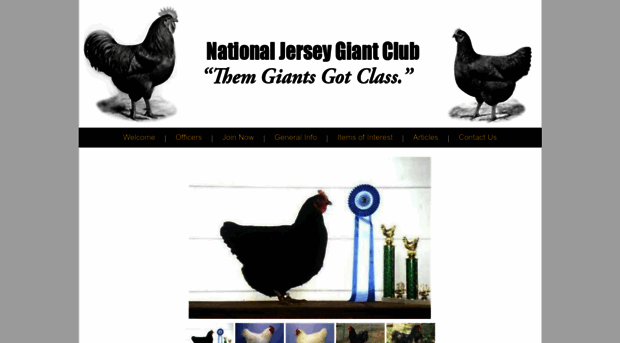 nationaljerseygiantclub.com