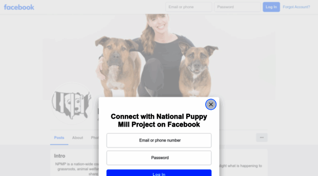 nationalpuppymillproject.org