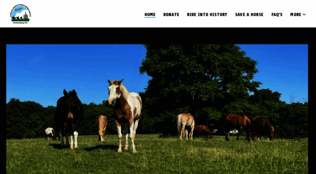 nationalridingstables.com