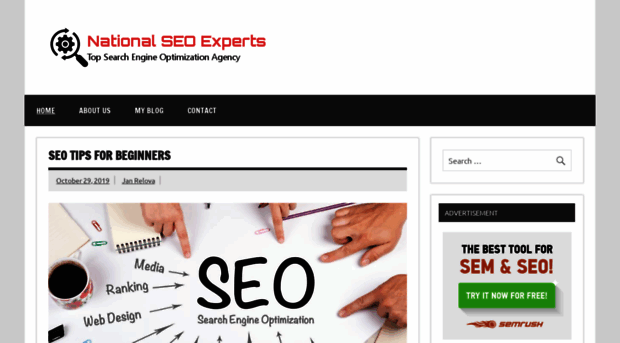 nationalseoexperts.com