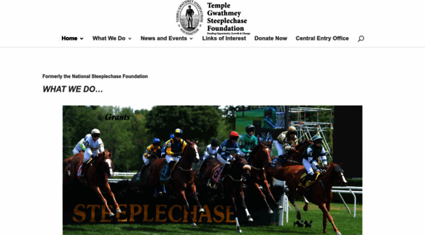 nationalsteeplechasefoundation.org