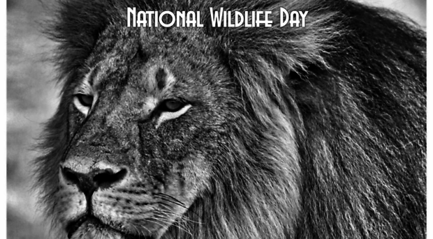 nationalwildlifeday.com