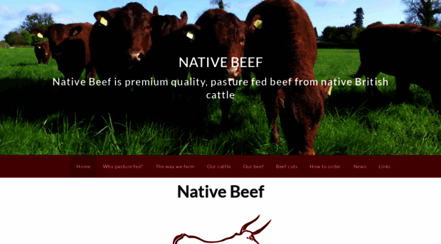 native-beef.co.uk