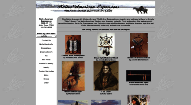 nativeamericanexpressions.net