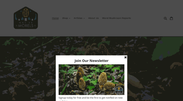 nativemorels.com