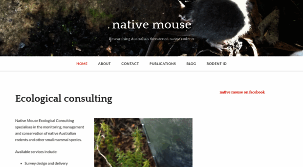 nativemouse.wordpress.com