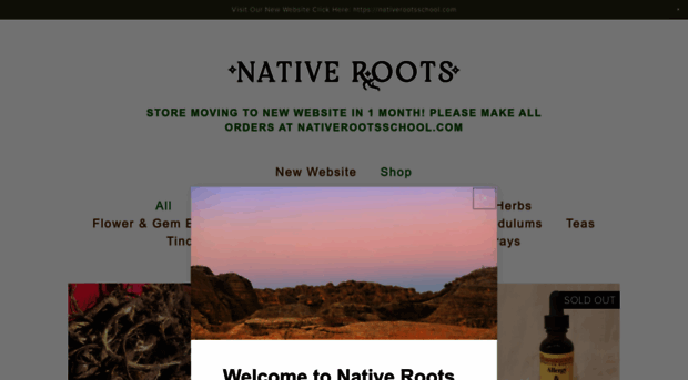 nativerootshealing.com