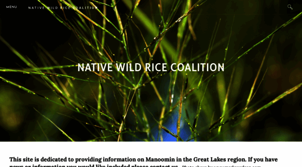 nativewildricecoalition.com