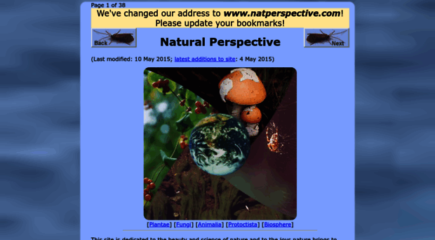 natperspective.com