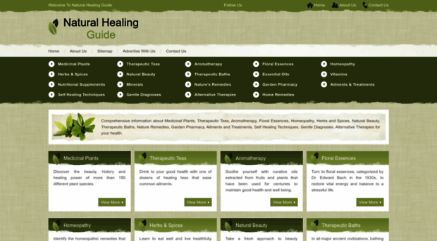 natural-healing-guide.com