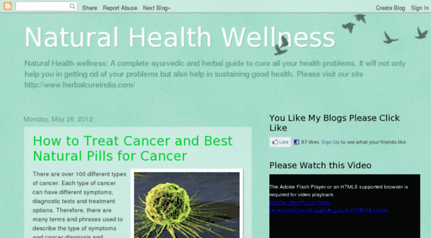 natural-healthwellness.blogspot.in