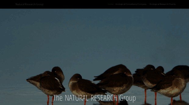 natural-research.org