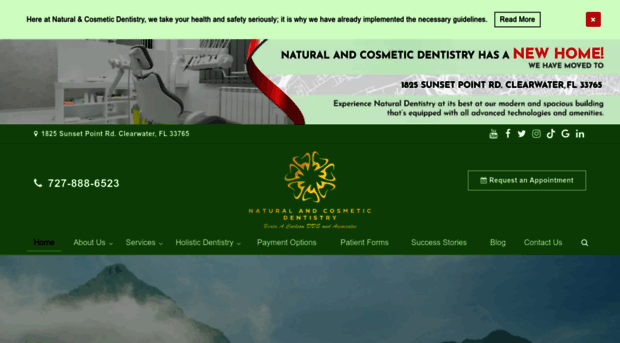 naturalandcosmeticdentistry.com