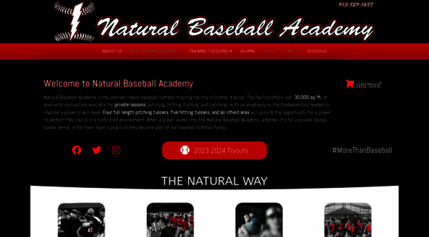 naturalbaseball.com