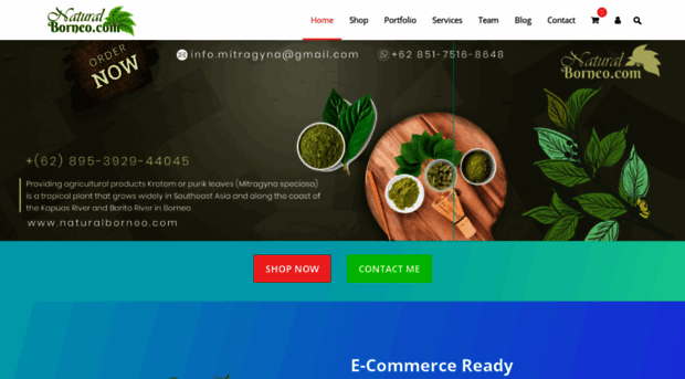 naturalborneo.com
