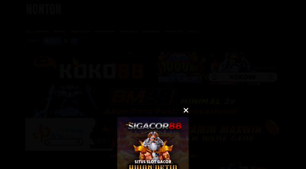 naturalbornviewers.com