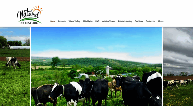 naturalbynaturedairy.com