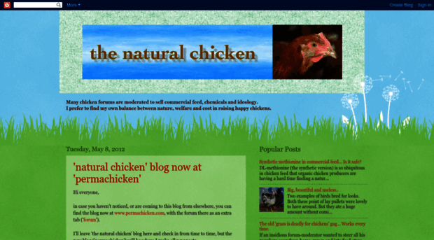 naturalchicken.blogspot.com