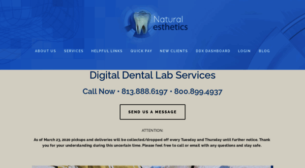 naturalesthetics.net