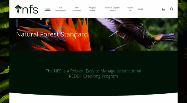 naturalforeststandard.com