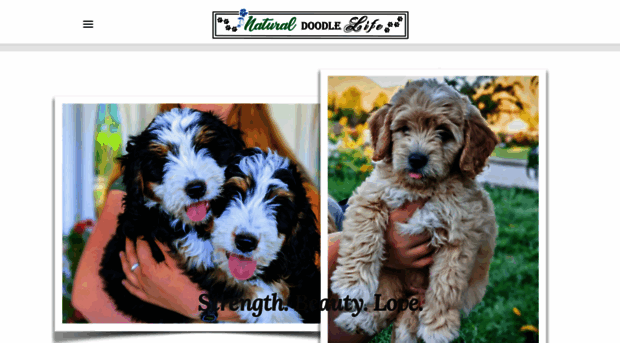 naturalgoldendoodle.com