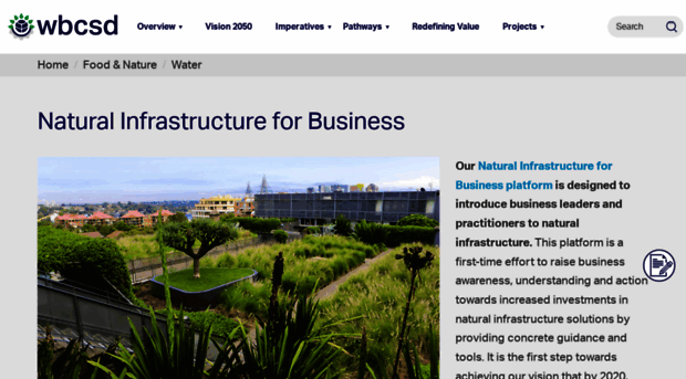 naturalinfrastructureforbusiness.org