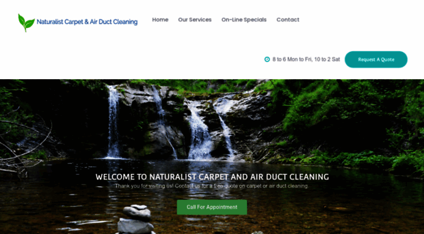 naturalistcarpetcleaning.com