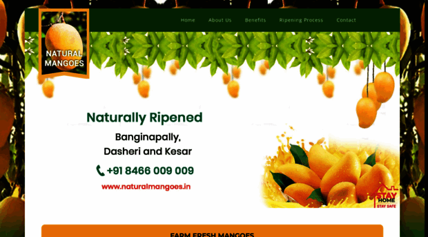 naturalmangoes.in