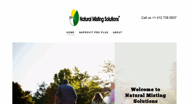 naturalmistingsolutions.com