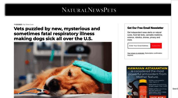 naturalnewspets.com